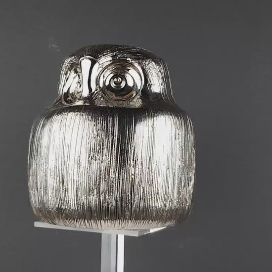 Vintage Rare BITOSSI Owl Silver by Aldo Londi 1970s