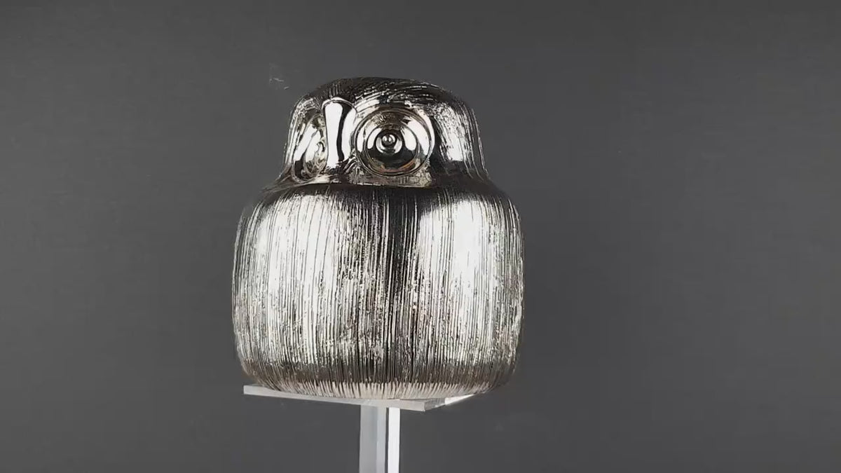 Vintage Rare BITOSSI Owl Silver by Aldo Londi 1970s